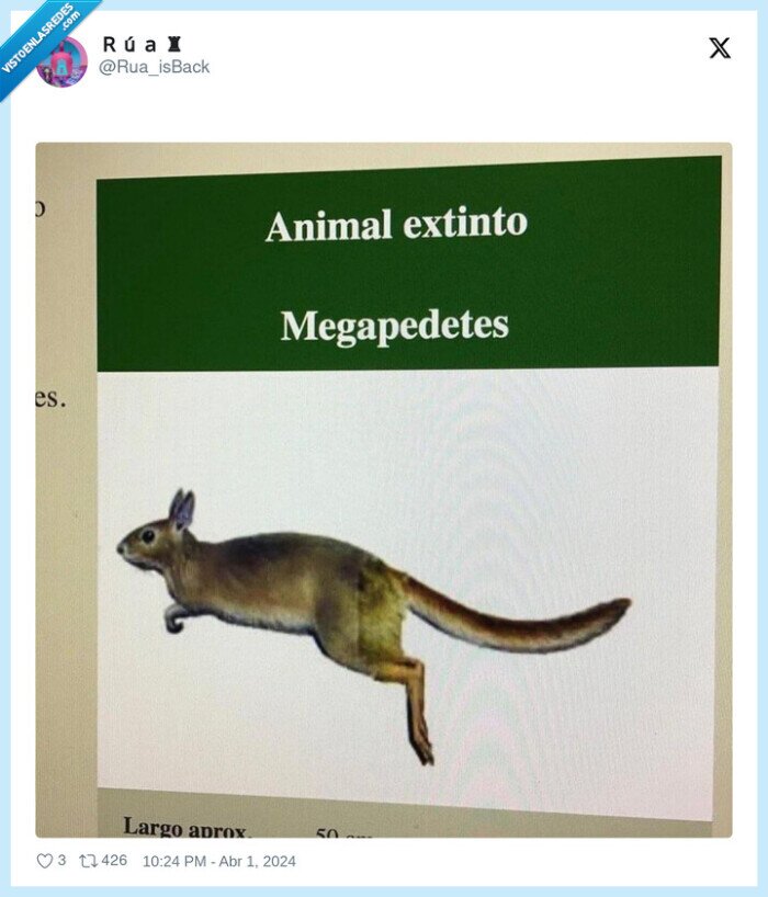extincion,animal,megapedetes