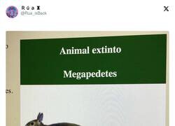 Enlace a Siempre se van los mejores, por @Rua_isBack