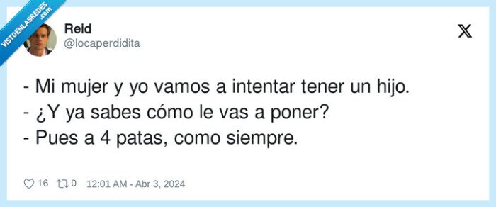intentar,cuatro patas,mujer,hijos