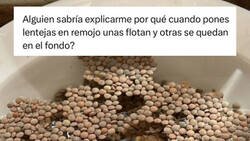 Enlace a Viva internet, preguntan por qué unas lentejas se hunden y otras no y las respuestas no defraudan