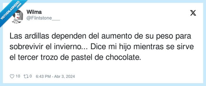 sobrevivir,chocolate,ardillas,invierno,depender