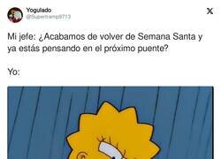 Enlace a Vivo por y para la vacaciones, por @Supertramp9713