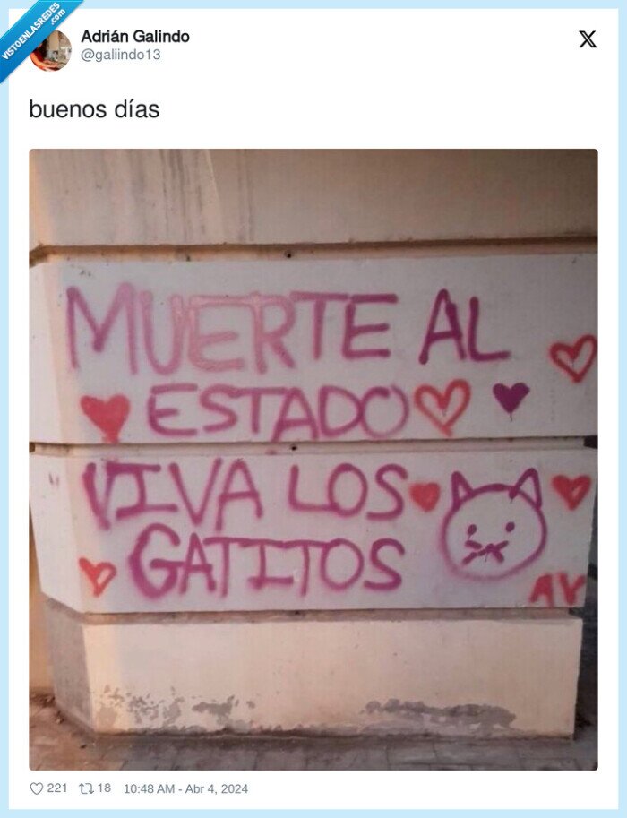 estado,pintada,gatitos