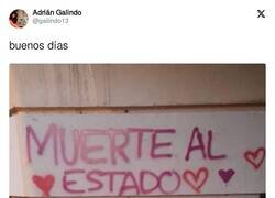 Enlace a Siempre gatitos, por @galiindo13