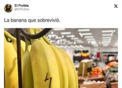 Enlace a La banana Potter, por @EiProfeta