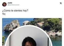 Enlace a Echo polvo, por @jcamiloorozco2