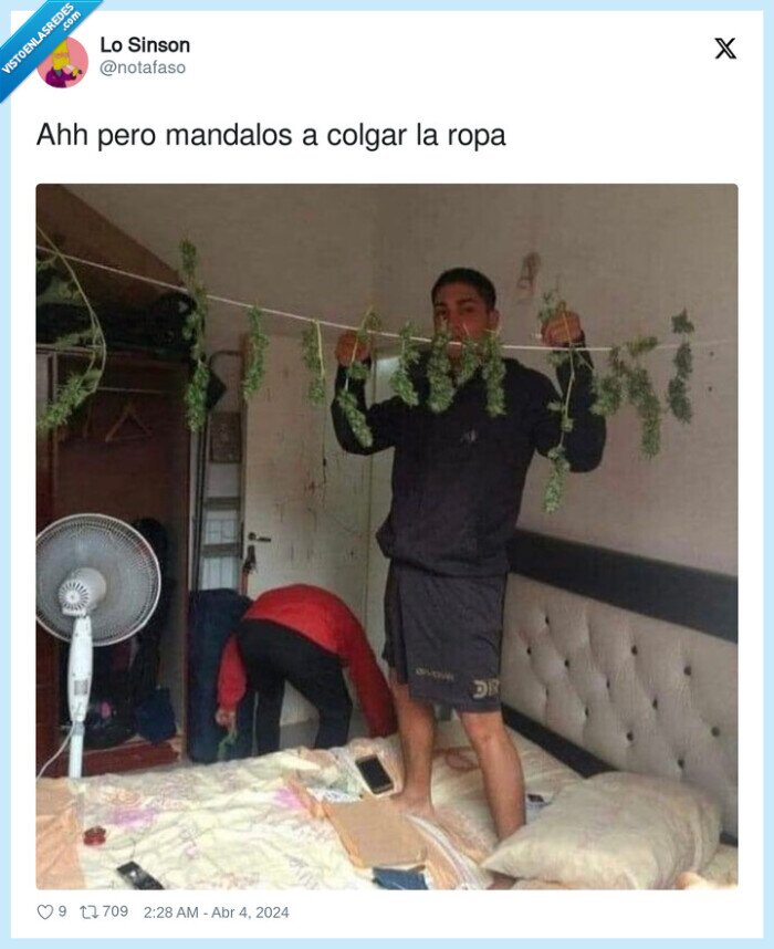 tendedero,chaval,maria