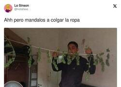 Enlace a Por algo se empieza, por @notafaso