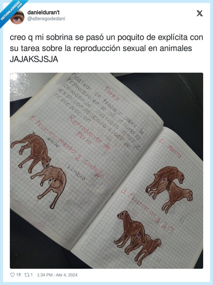 reproducción,explícita,animales,sobrina