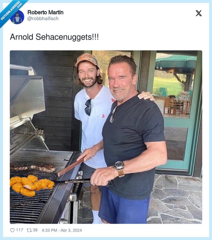 sehacenuggets,arnold schwarzenegger