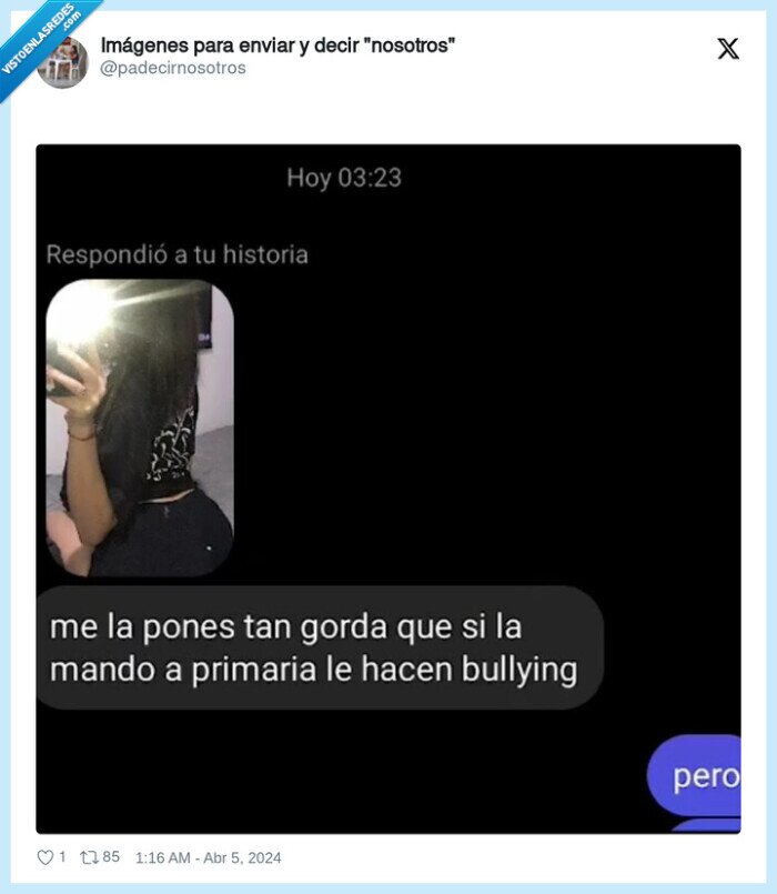 piropo,bullying,primaria,gorda