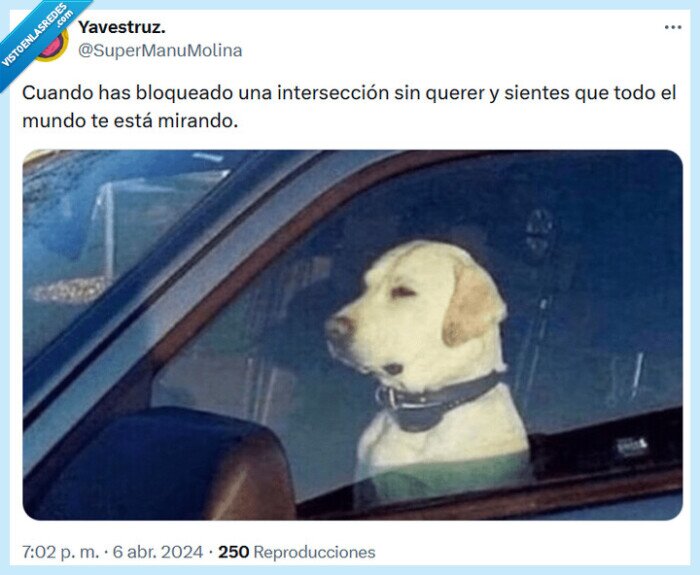 intersección,carretera,coche,mirar