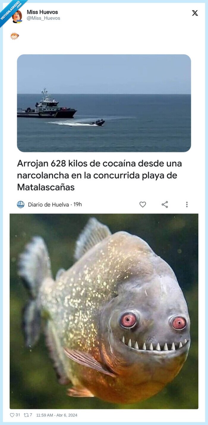 coca,narcolancha,playa,matalascañas