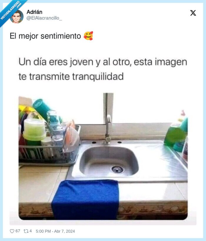 sentimiento,mejor,tranquilidad,cocina