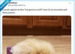 Enlace a ¿Qué tocaba hoy? por @supermanumolina
