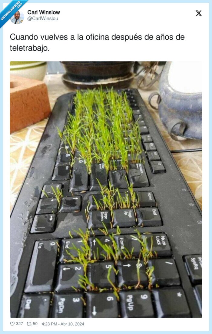 teletrabajo,volver,oficina,teclado,hierba