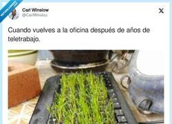 Enlace a Han pasado 4 años, por @CarlWinslou