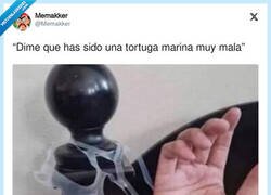 Enlace a ¿Te va la marcha, tortuga?, por @Memakker