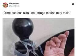 Enlace a ¿Te va la marcha, tortuga?, por @Memakker