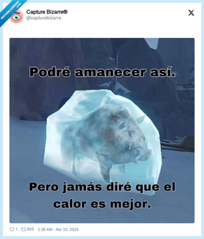 team,calor,frio,verano,helado