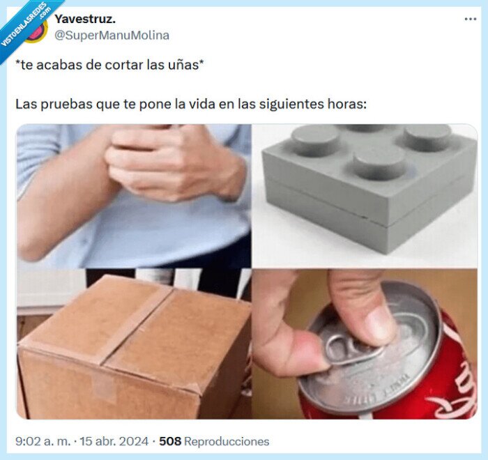 uñas,cortar,vida