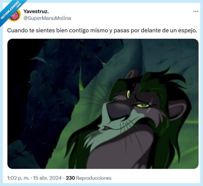 espejo,pasar,scar,el rey león