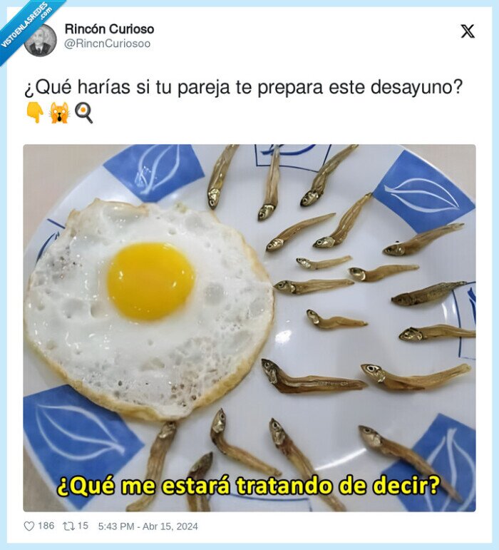 desayuno,huevos,anchoas,escapar,fecundar,ovulo