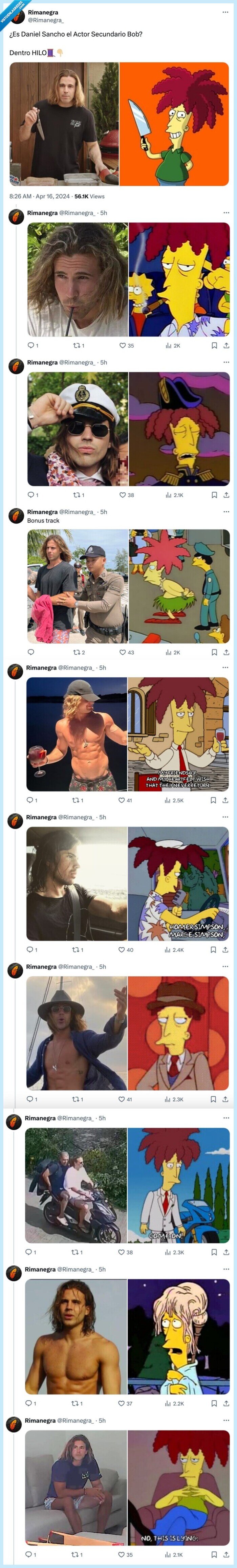 daniel sancho,parecido razonable,actor secundario bob,simpson