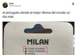Enlace a Se les va mucho la olla, por @555alaponth