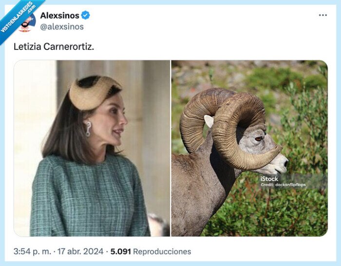 carnerortiz,letizia ortiz,cuernos,cabra