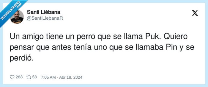 perder,perro,puk,pin,telefono