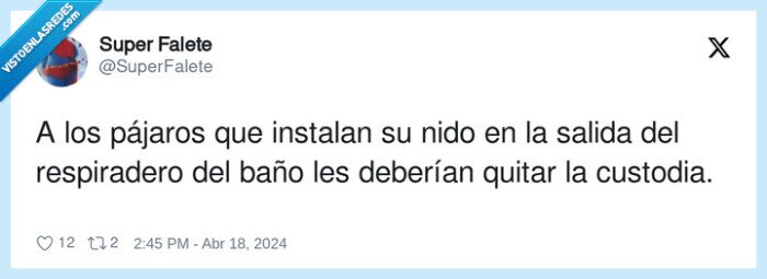 respiradero,pájaros,instalar,custodia,salida