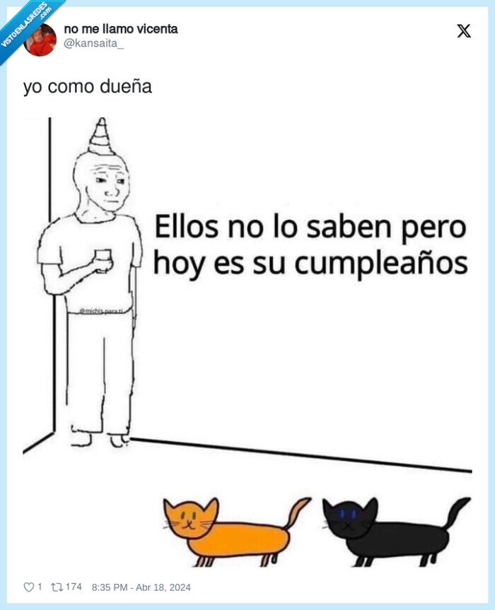 celebrar,cumpleaños,gato
