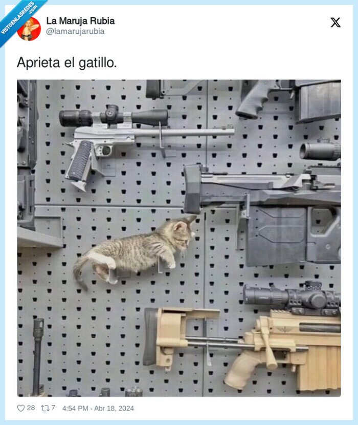 gatillo,gato,armas,ak47
