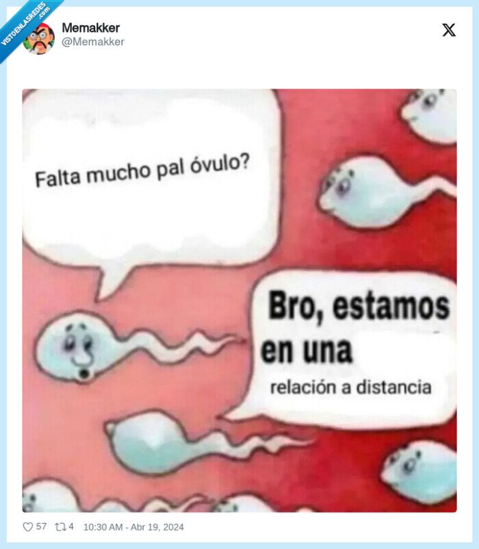 relacion a distancia,esperma,ovulo,faltar