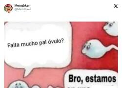 Enlace a Ups, por @Memakker