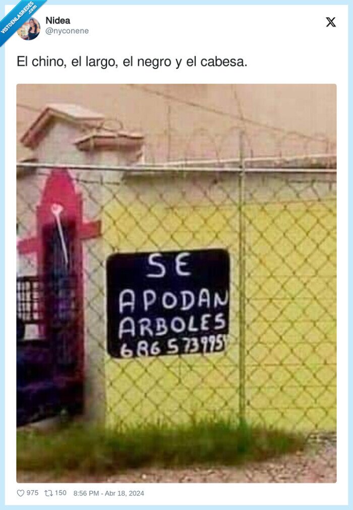 chino,largo,cabesa,negro,apodar,arboles