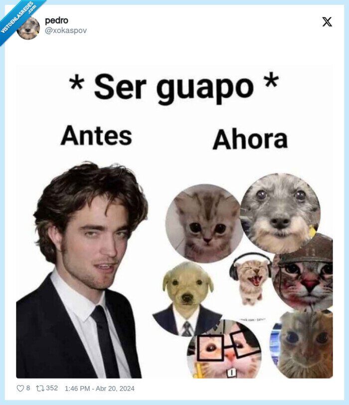 guapo,gato,pattinson