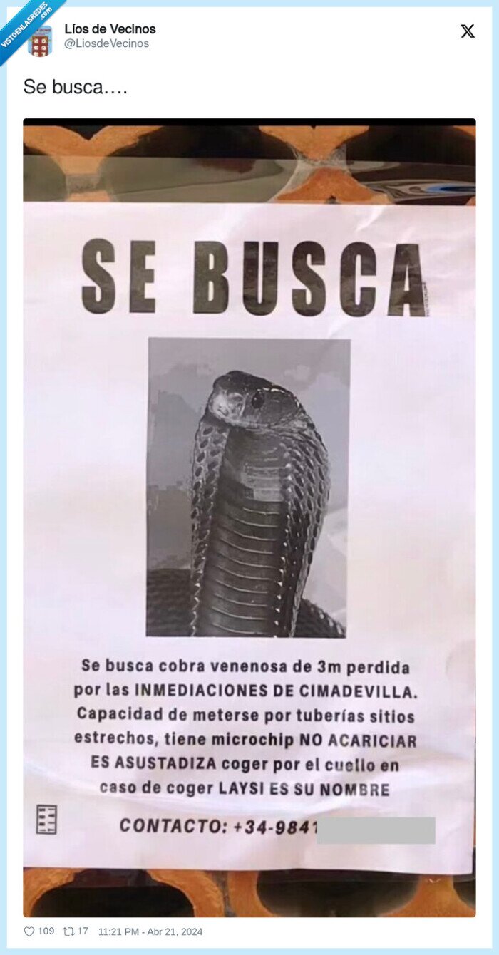 serpiente,busca,laysi