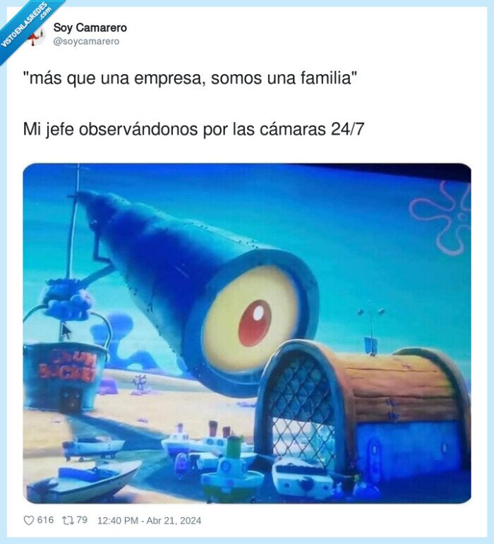 observándonos,empresa,cámaras,familia