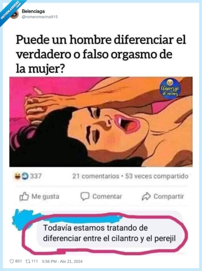 cilantro,perejil,hombre