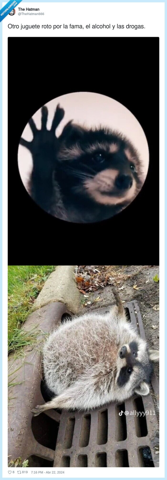 juguete,alcohol,drogas,fama,mapache