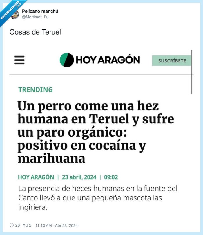 teruel,cosas,coca,caca,heces,perro,maria