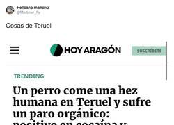 Enlace a El que hizo el tordo iba bien fino, por @Mortimer_Fu