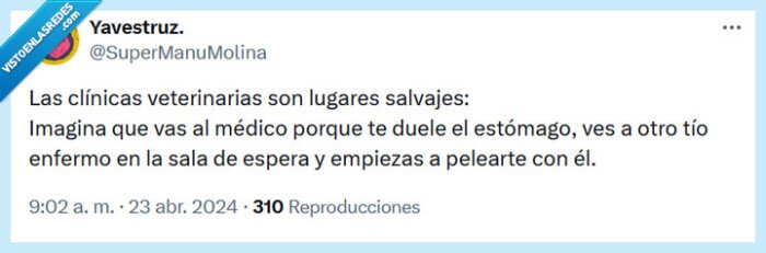 veterinario,clínica,pelearte