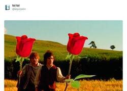 Enlace a ¡Feliz Sam Jordi! por @elpolyklin