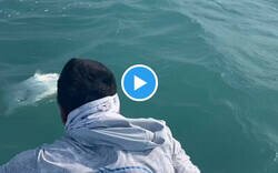 Enlace a Cuando te dejas la caña de pescar en casa y no tienes nada más a mano