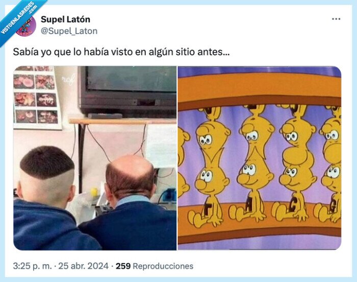 cabeza,hijo,padre,calvo,peinado,erase una vez el cuerpo humano