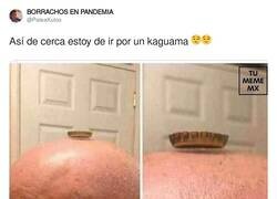 Enlace a Me flipa el efecto de levitar, por @PateaKulos