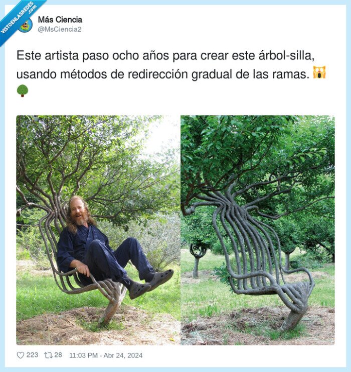 árbolsilla,redirección,arbol,silla,artista,gradual